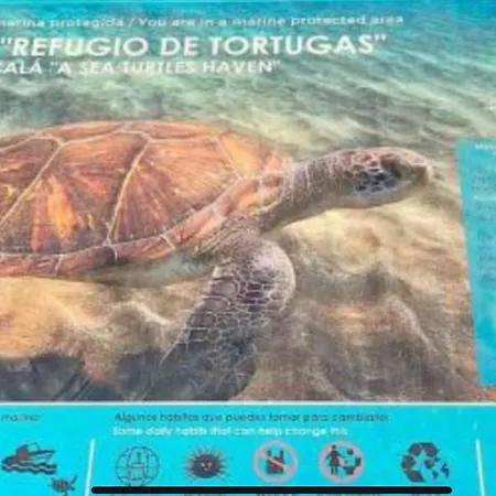 Center A 5 Minutos Del Paseo Y Playas Apartment *
