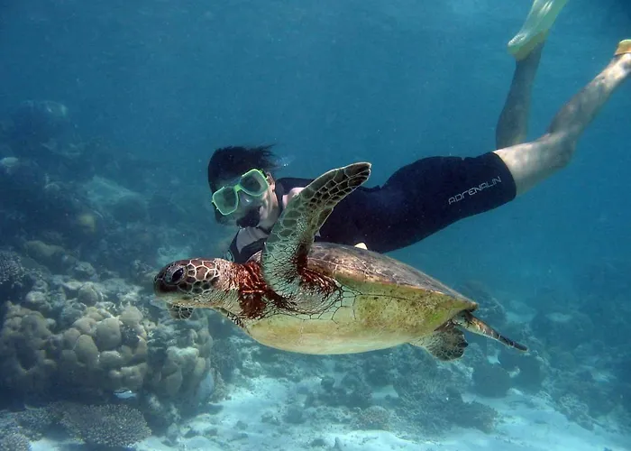 Alcalà Center A 5 Minutos Del Paseo Y Playas Apartamento *