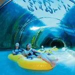 Center A 5 Minutos Del Paseo Y Playas דירה