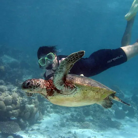 Center A 5 Minutos Del Paseo Y Playas Апартаменты *