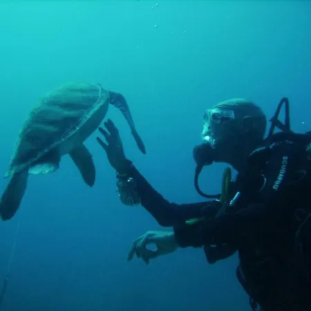 Center A 5 Minutos Del Paseo Y Playas 公寓