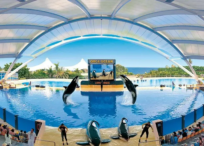 Center A 5 Minutos Del Paseo Y Playas *