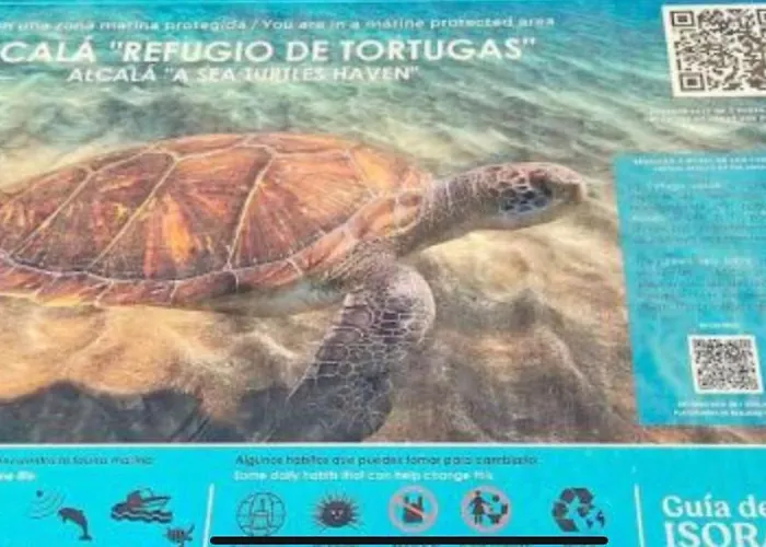 Center A 5 Minutos Del Paseo Y Playas Daire *