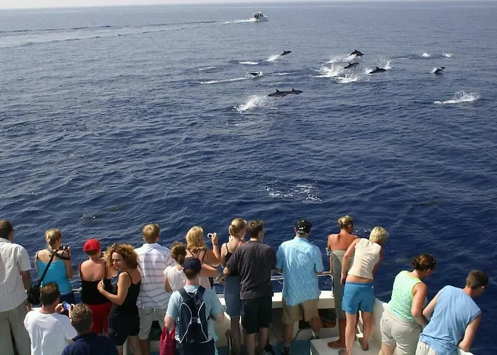 Center A 5 Minutos Del Paseo Y Playas * Alcalá la Real