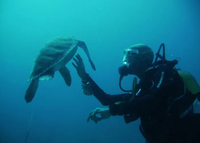 Center A 5 Minutos Del Paseo Y Playas Daire