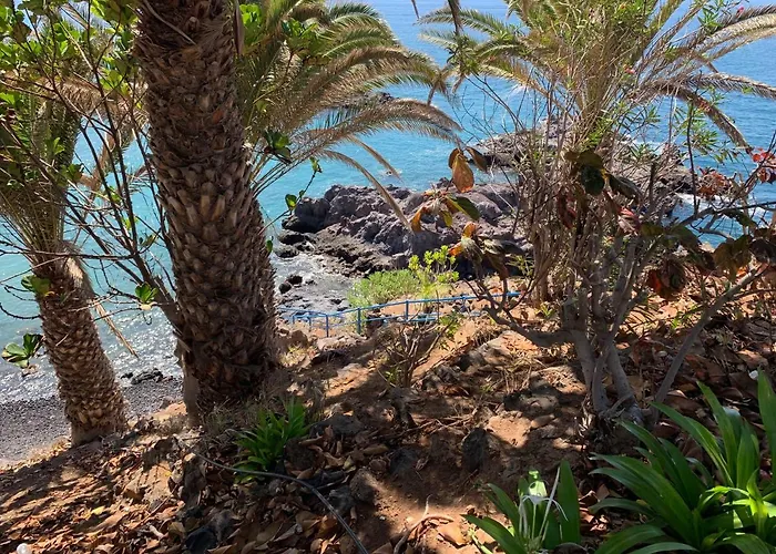 Center A 5 Minutos Del Paseo Y Playas Daire *